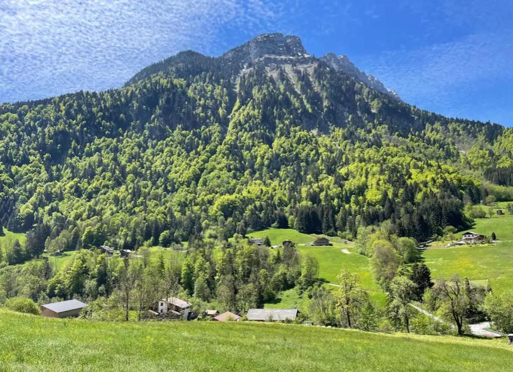 Le Chalet Des Reves - La Roche Blanche Entremont Екстер'єр фото